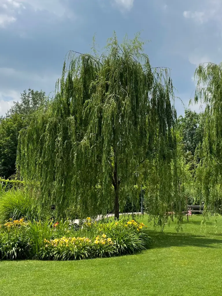 Giardino degli angeli a castel san pietro terme